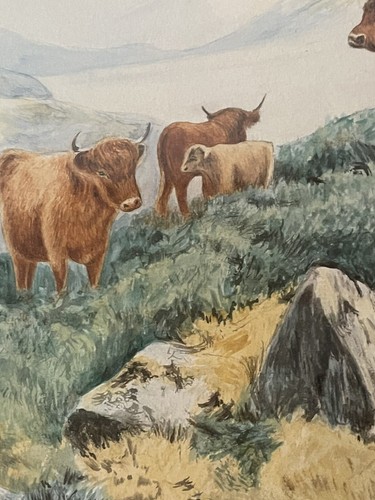 Highland cattle framed glazed - highland,