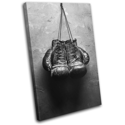 Boxing gloves gym vintage - boxing,