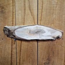 Live Edge Black Walnut Slab (108)