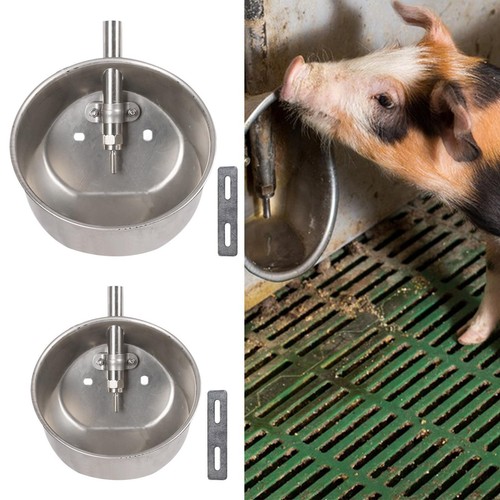 Automatic pig waterer water - pig,