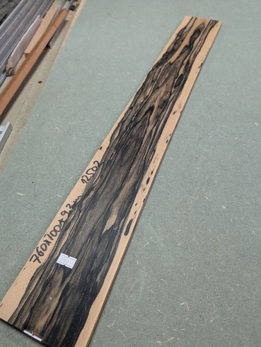 Pale moon ebony string - 5/6,