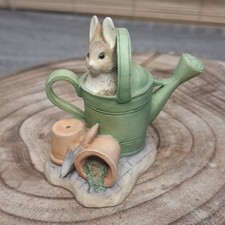 Border Fine Arts The World Of