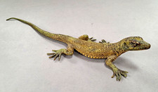 ANTIQUE AUSTRIAN FRANZ