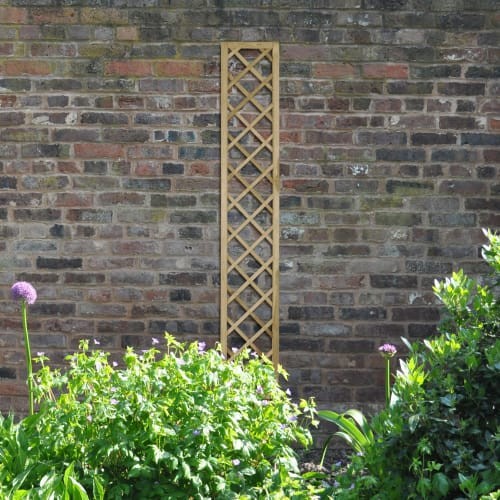 Hidcote diamond trellis - hidcote,