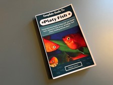 Complete Guide to Platy Fish