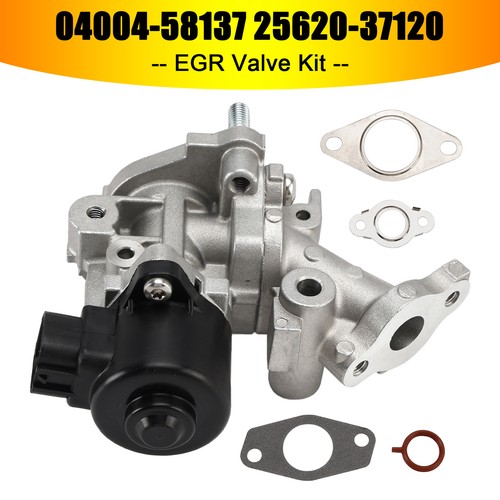 Egr valve kit - egr, for