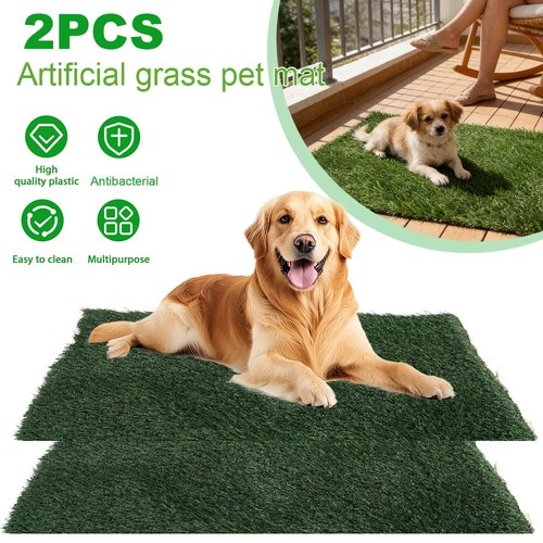 Pet dog toilet - pet,