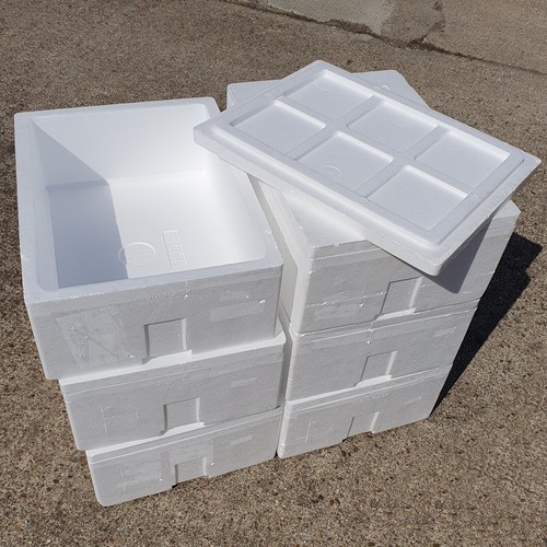 Litre polystyrene cool box - cool,