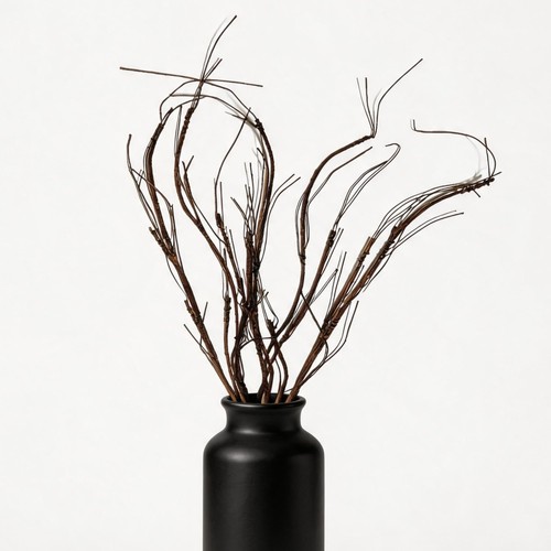 Pcs curly willow branches 28 - curly,