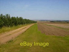 Photo 6x4 Turf growing and