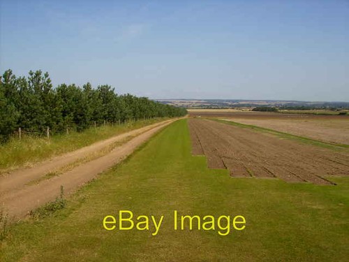 Photo 6x4 turf growing and - photo,