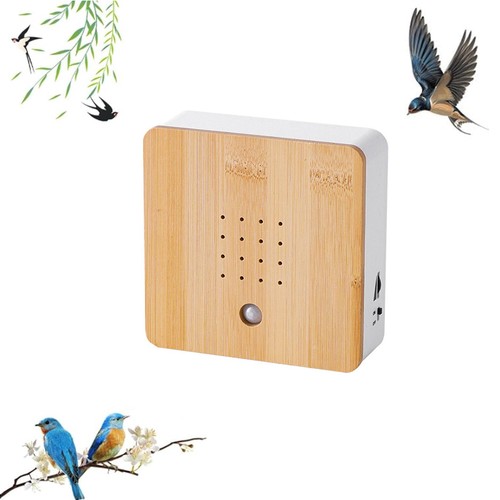 Bird chirping soundbox - bird,