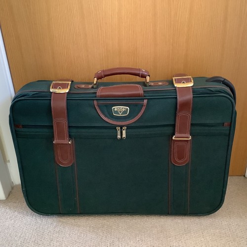 Vintage antler suitcase green - antler,