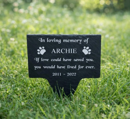 Personalised engraved pet - personalised,