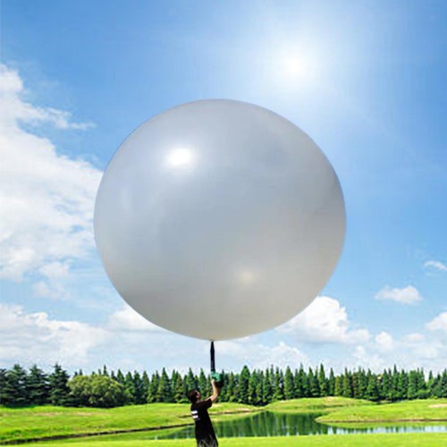 Giant balloon professional - giant,