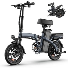 Foldable Electric Bike 250W