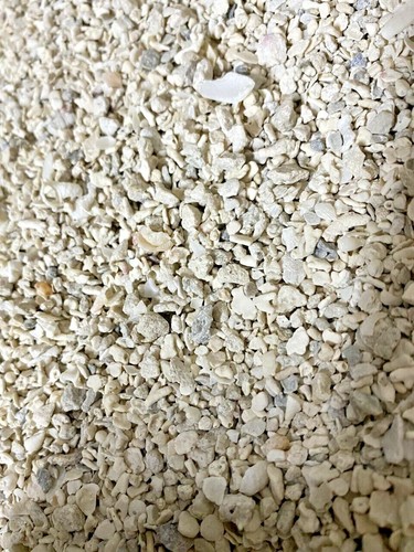 100 aragonite coral - 100%,