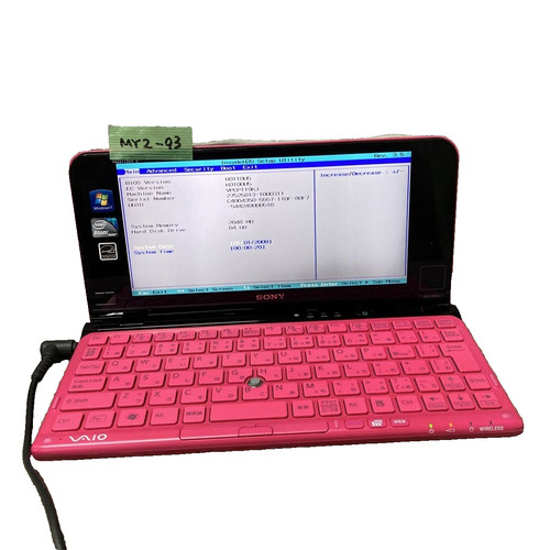 Sony vaio series - type, p
