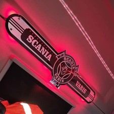 SCANIA VABIS MIRROR / TRUCK