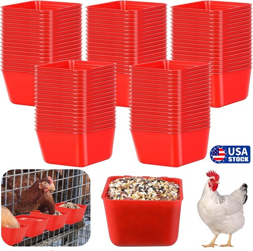 Chicken poultry hanging - 20×,