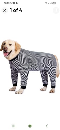 Miaododo dog recovery suit - miaododo,