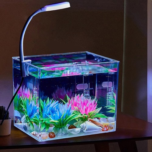 Mini desktop fish tank - desktop,