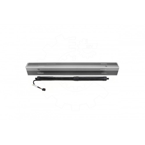 Trunk lift support - support, for