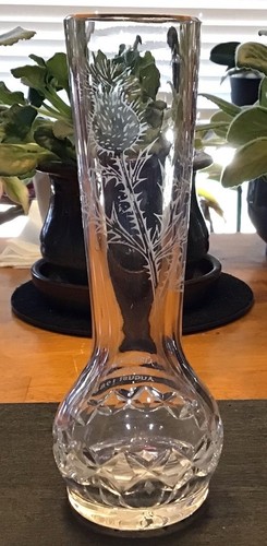 Edinburgh crystal thistle - edinburgh,