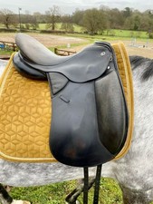 Kieffer Zugspitze dressage