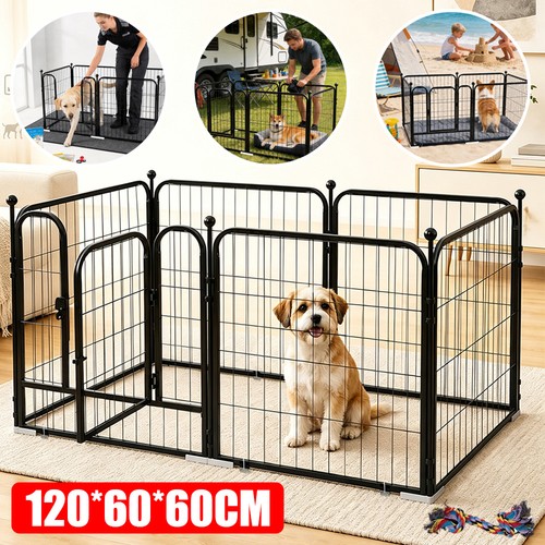 Indoor dog playpen - dog, fence