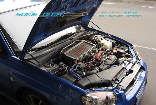 Carbon fibre strut hood damper - carbon,