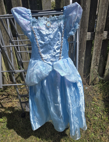 Disney princess cinderella - princess,