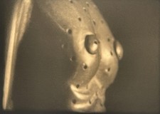 16mm B/W BBC Horizon