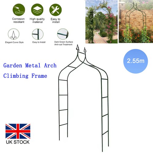 Metal garden arch - arch, plant