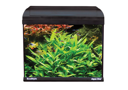 Cheap fish tank aqua - fish, one