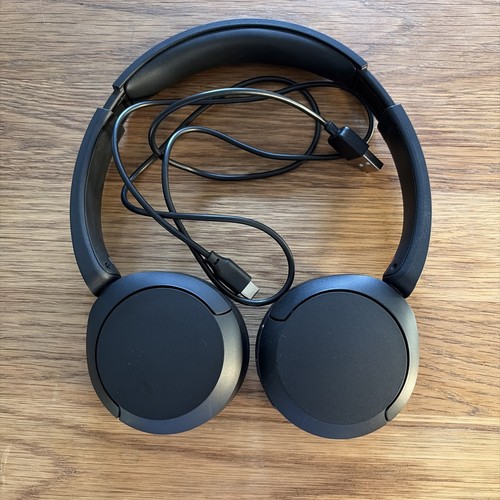 Headphones sony ch520 - sony, on