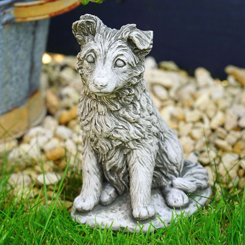 Sheltie sheepdog stone statue - sheltie,
