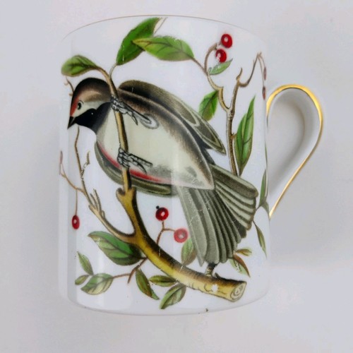 Royal tuscan demitasse - royal,