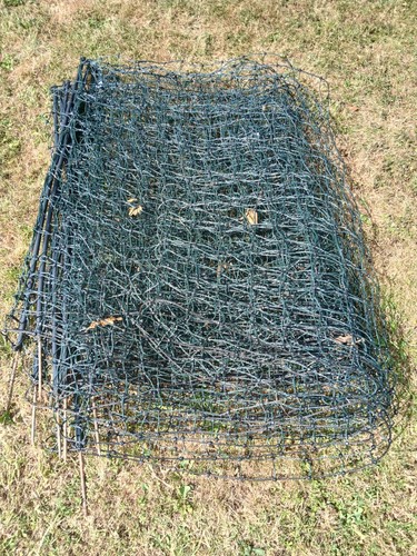 25m chicken electric netting
