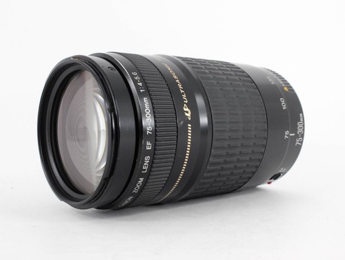 Canon zoom lens 300mm - lens, ef