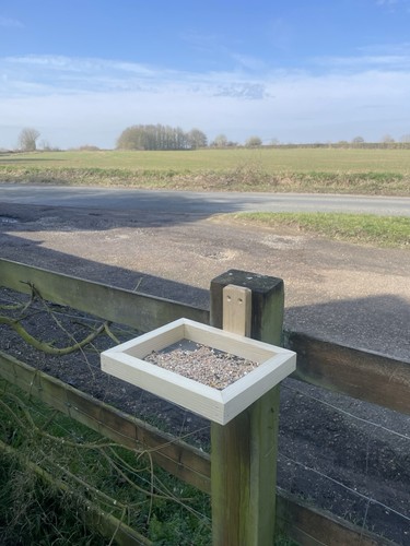 Wooden bird feeder - feeder, tray