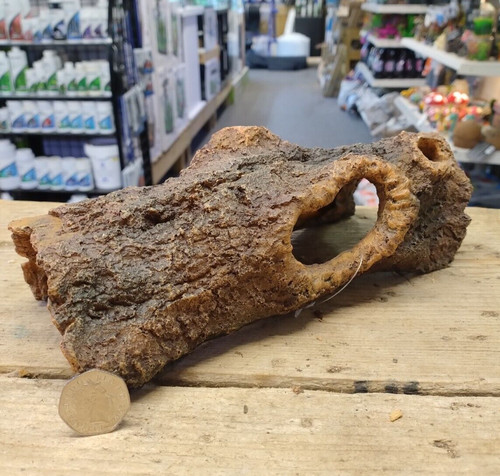 Large log cave - large, tree
