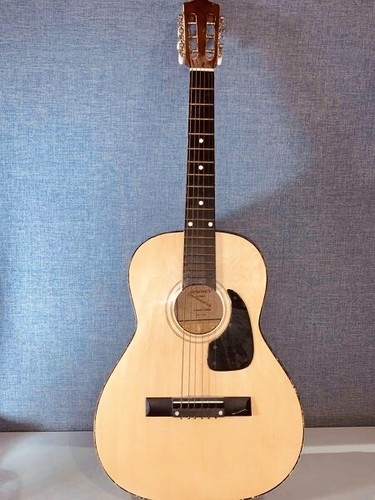 Synsonics fg908n acoustic - synsonics,