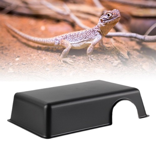 Reptile hide box practical - hide,