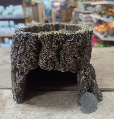 Tree stump cave - stump, hideaway
