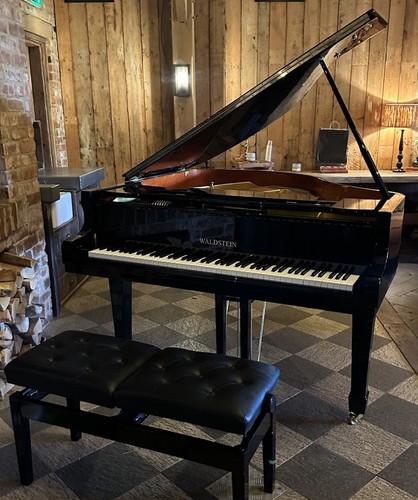 Waldstein 150 baby - baby, piano