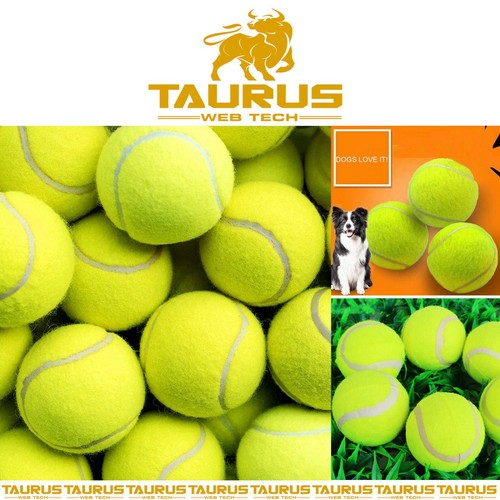 24x tennis balls - balls, outdoor