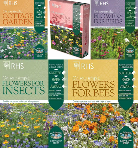Rhs sow simple flower seed - simple,