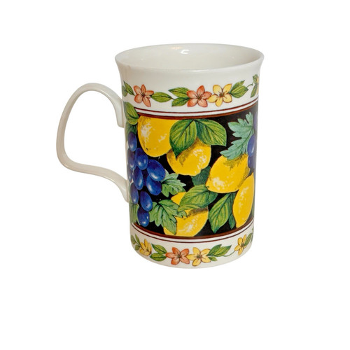 Oranges lemons fine bone - lemons,