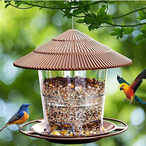 Hanging wild bird feeder - bird,